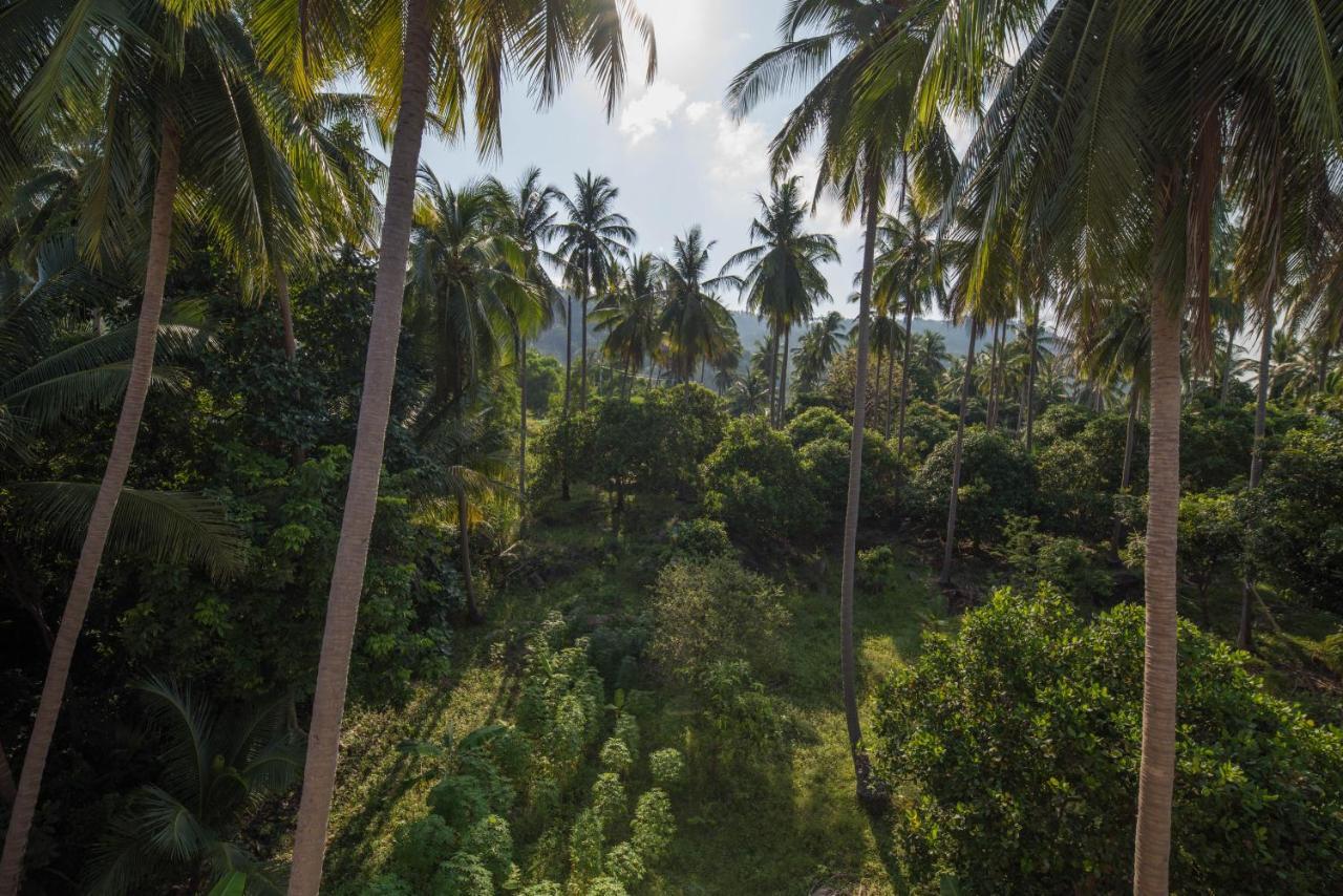 Chaweng Noi Residence Buitenkant foto